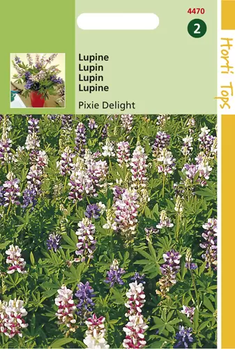 Lupinus Nanus Pixie DeligGemengd