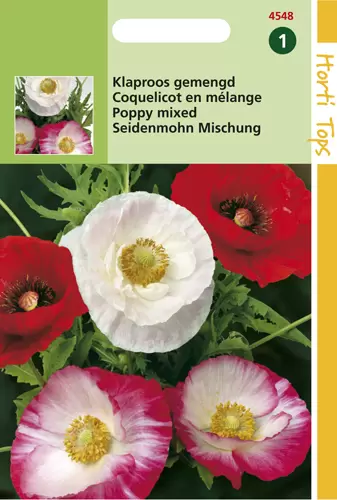 Papaver Rhoeas Shirley (Klaproos