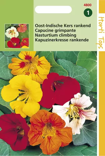 Tropaeolum majus Enkelbloemig me