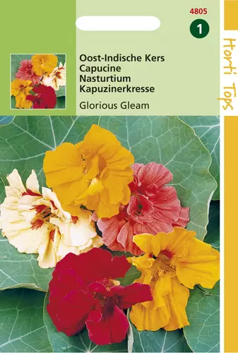 Tropaeolum Glorious Gleam Dubbel