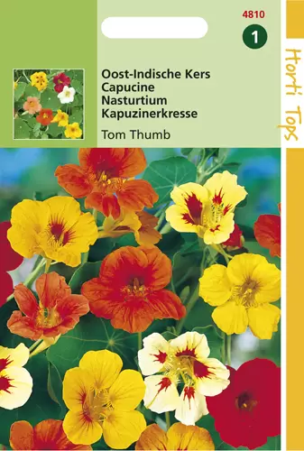 Tropaeolum Tom Thumb enkelbl.gem