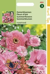 Zomerbloemen Rose / Rode Tinten
