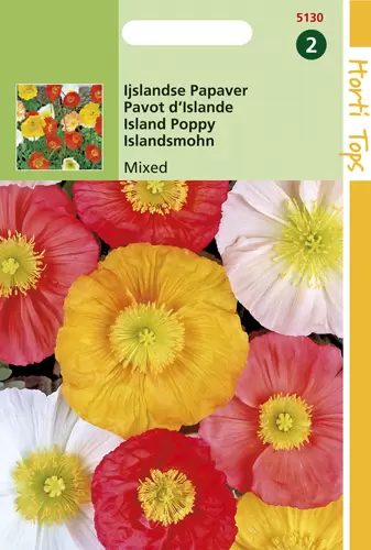 Papaver Nudicaule Excelsior Geme