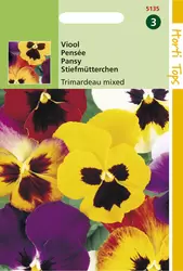 Viola Wittrockiana Trimardeau Ge