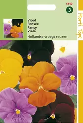 Viola Wittr. Hollandse Reuzen Ge