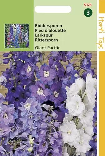 Delphinium Cultorum Giant Pacific