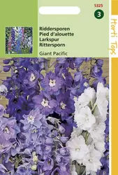 Delphinium Cultorum Giant Pacific