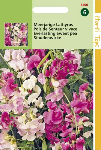Lathyrus Latifolius Gemengd