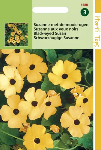 Thunbergia Alata (Suzanne-met-de