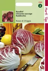 Radicchio Rosso Di Chioggia (Pal