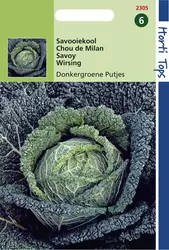 Savooiekool Donkergroene Putjes