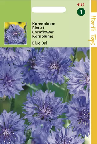 Centaurea cyanus dubbelbloemig B
