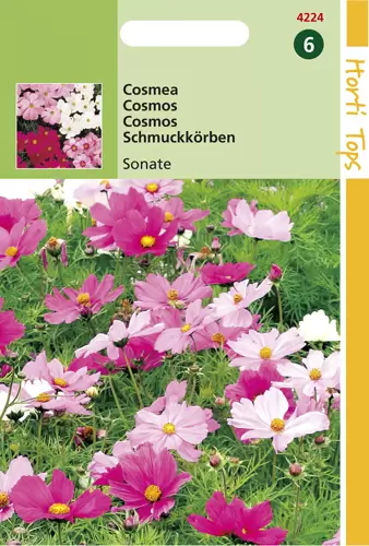 Cosmos Bipinnatus Sonata Gemengd