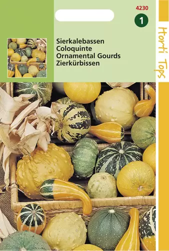 Cucurbita Pepo. Sierkalebes Kleinvruchtig gemengd