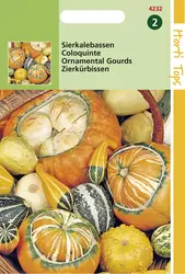 Cucurbita Sierkalebas klein-en groot gemengd