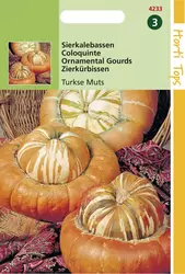 Cucurbita Turbaniformis Turkse Muts