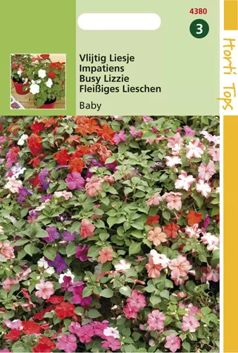 Impatiens Walleriana Baby Gemeng