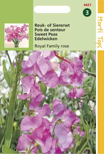 Lathyrus Odoratus Royal Family R