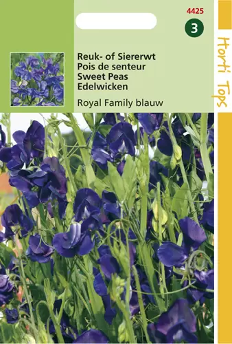 Lathyrus Odor. Royal Family Blau