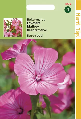 Lavatera Trimestris Rose/Rood