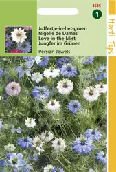 Nigella Damascena Persian Jewels