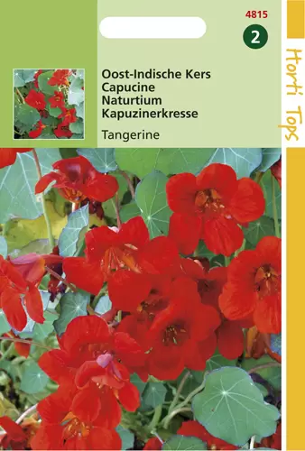 Tropaeolum Majus Nanum Empress O