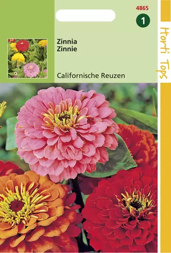 Zinnia Californische Reuzen geme