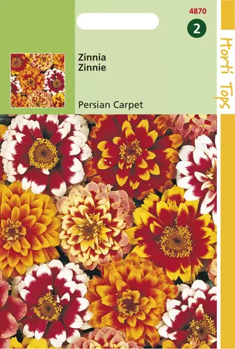 Zinnia Haageana Persian Carpet G