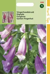 Digitalis Purpurea Gemengd