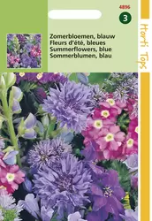 Zomerbloemen Blauwe tinten