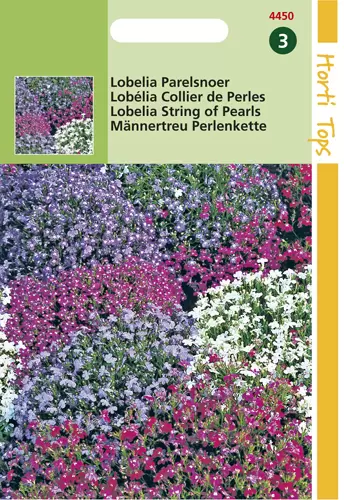 Lobelia Erinus Comp. Parelsnoer