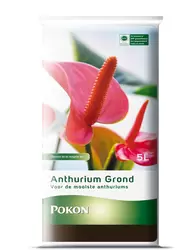 Pokon Anthurium Potgrond 5L